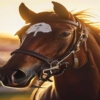 Thumbnail of related posts 102