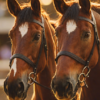 Thumbnail of related posts 031