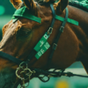 Thumbnail of related posts 095